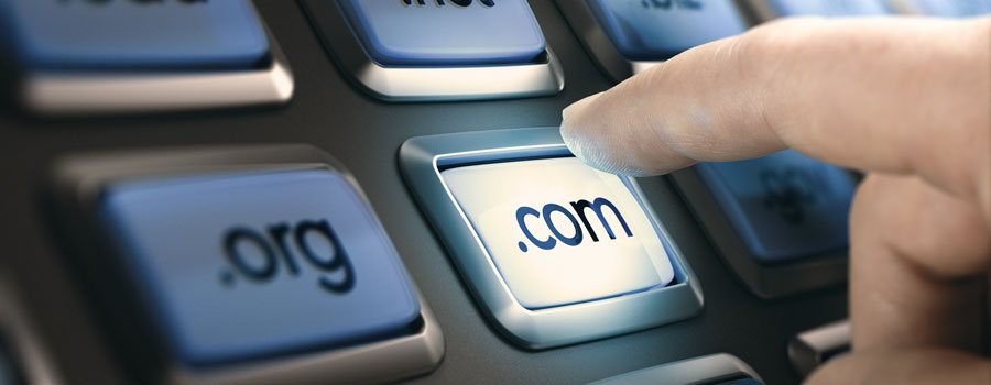 Unfortunately, Estibot appraisals on .net domains have not seemed to change over the last five or so years; I'm still seeing the same numbers. File photo: Olivier Le Moal, Shutter Stock, licensed.