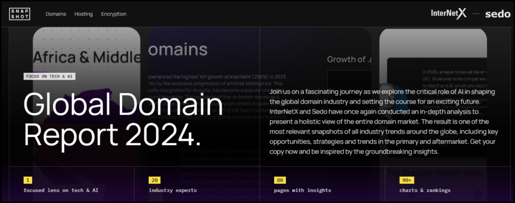 Global Domain Report 2024